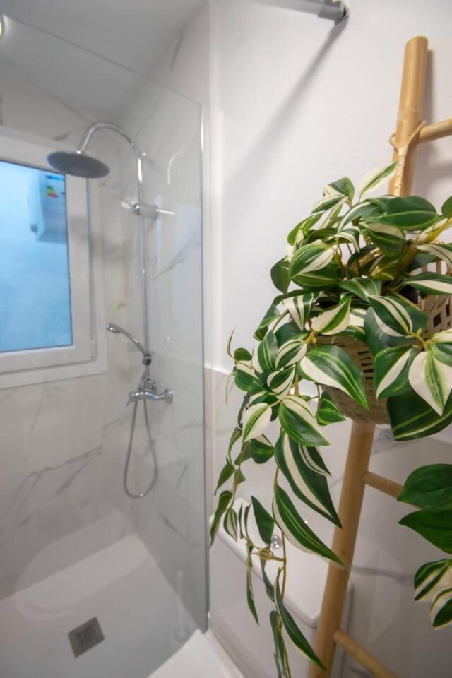 Apartamentos Marmolejos Gáldar 部屋 写真