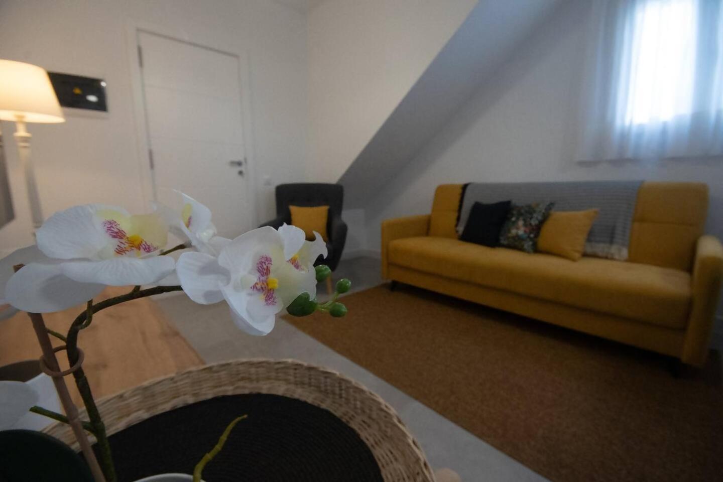 Apartamentos Marmolejos Gáldar 部屋 写真